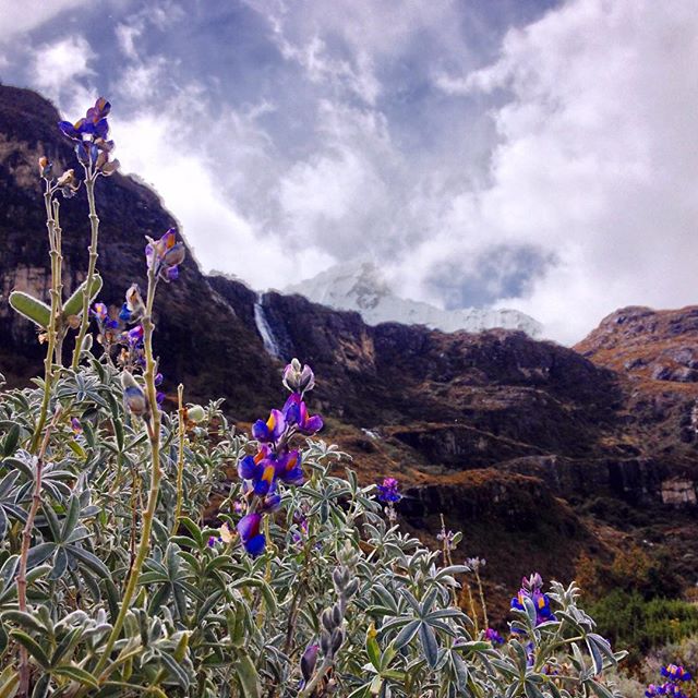 11850307_399860500209381_871674338_n